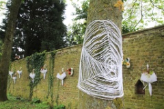 Et aussi 51 * 5184 x 3456 * (9.2MB)